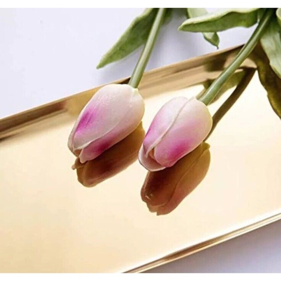 Gold Tray Plate Stainless Steel Tea Tray Fruit Tray Cosmetics Jewelry Tray 10’x4 - Picture 5 of 5
